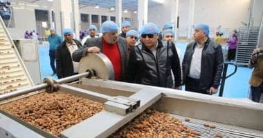 مصر تعزز صادراتها من التمور قبل رمضان بخطة شاملة