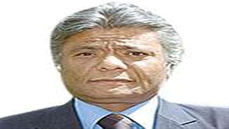 الاستثمار في الموارد البشرية: نموذج مصري للتنمية المؤسسية